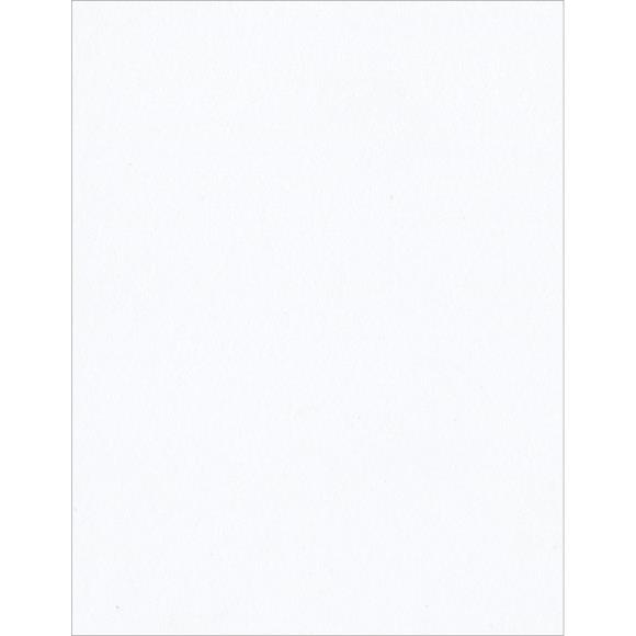 Bazzill Classic Smooth Cardstock 8.5"X11"