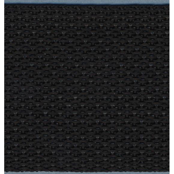 Simplicity Webbing 2"X10yd