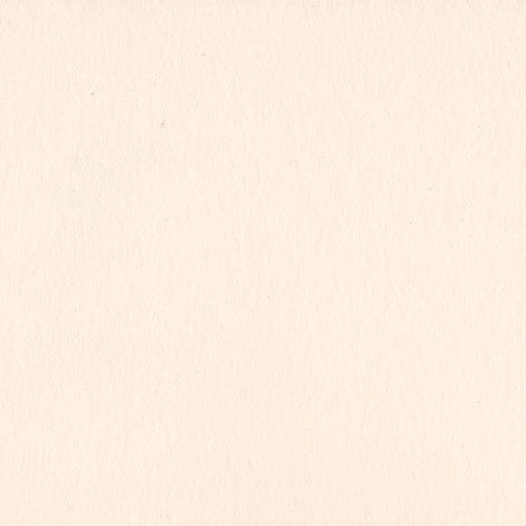 Bazzill Card Shoppe Heavyweight Cardstock 12"X12"