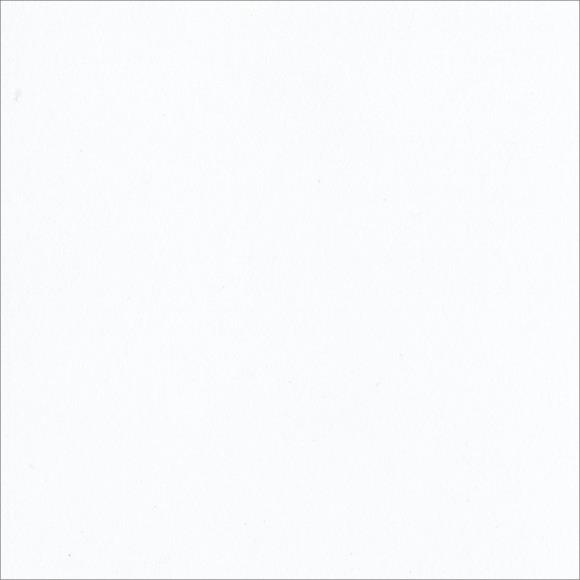 Bazzill Double Thick Smooth Cardstock 12"X12"