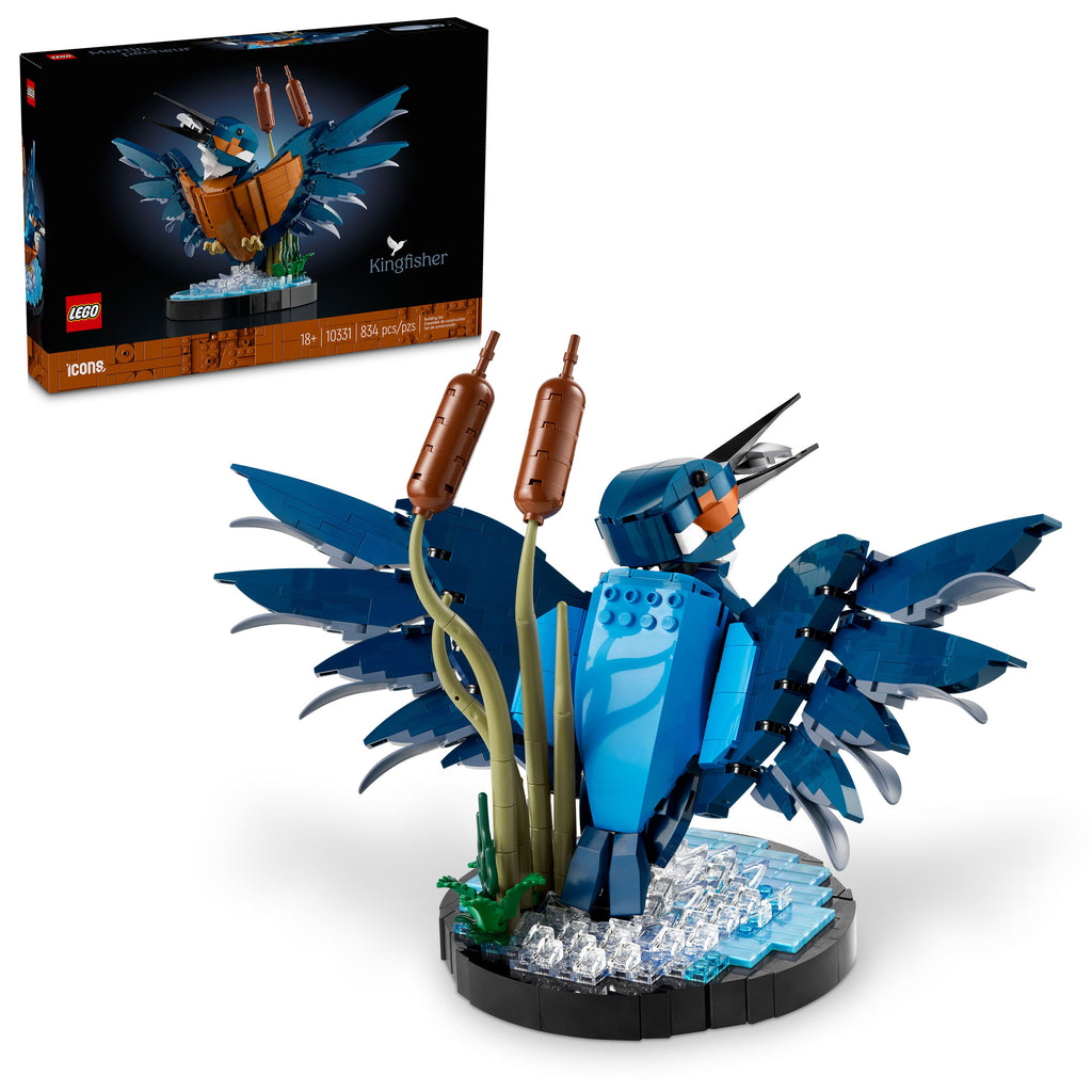 10331 Kingfisher Bird (Case of 4)