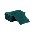 Heavy-Duty Scouring Pads, 15x10cm (480 Total Pads/Case) Janitor's Choice