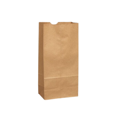 5 lb Capacity Brown Paper Retail Bags (500-Count) Sacs Frontenac