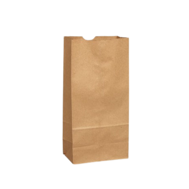 5 lb Capacity Brown Paper Retail Bags (500-Count) Sacs Frontenac