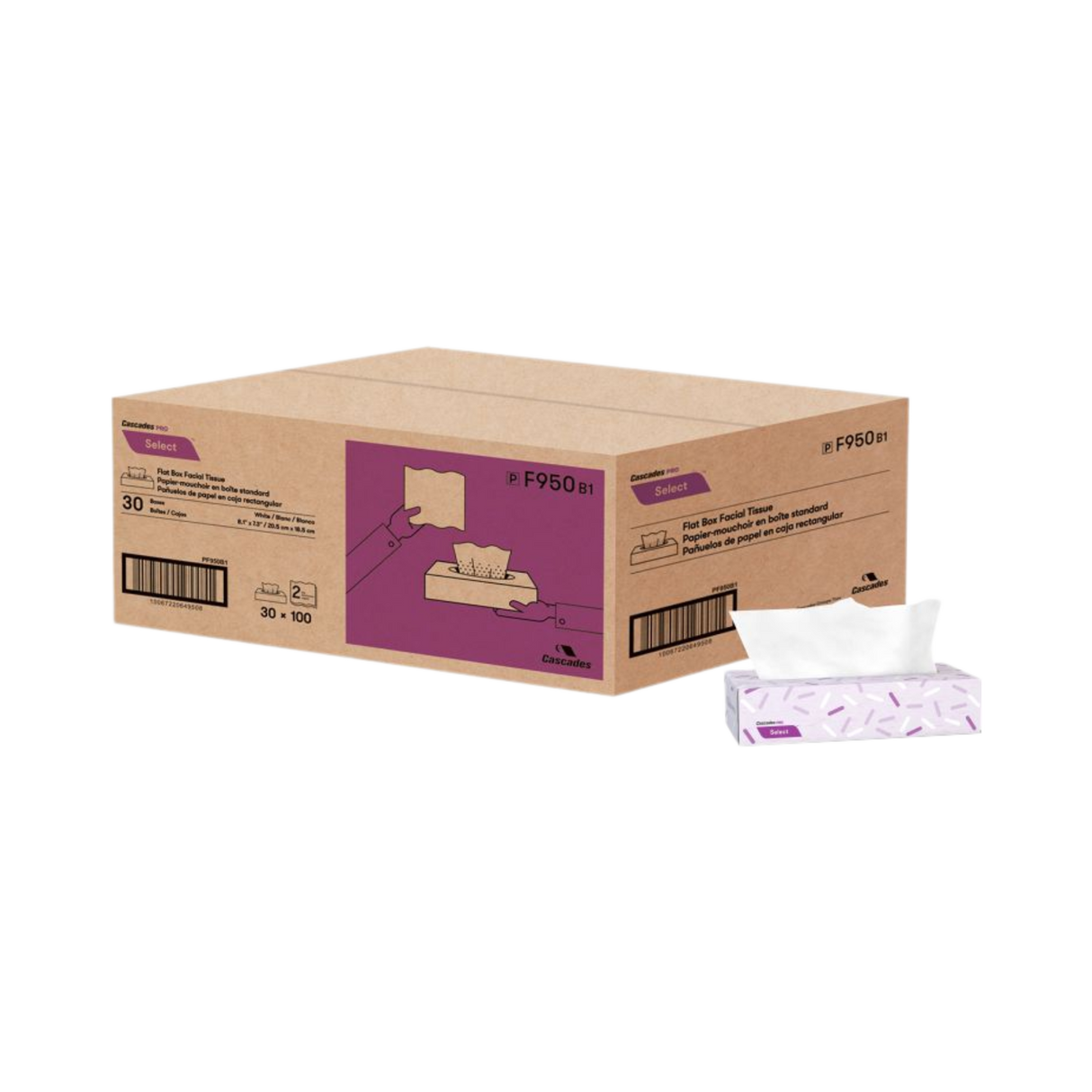 100 sheets 2Ply Facial Tissue - 30boxes