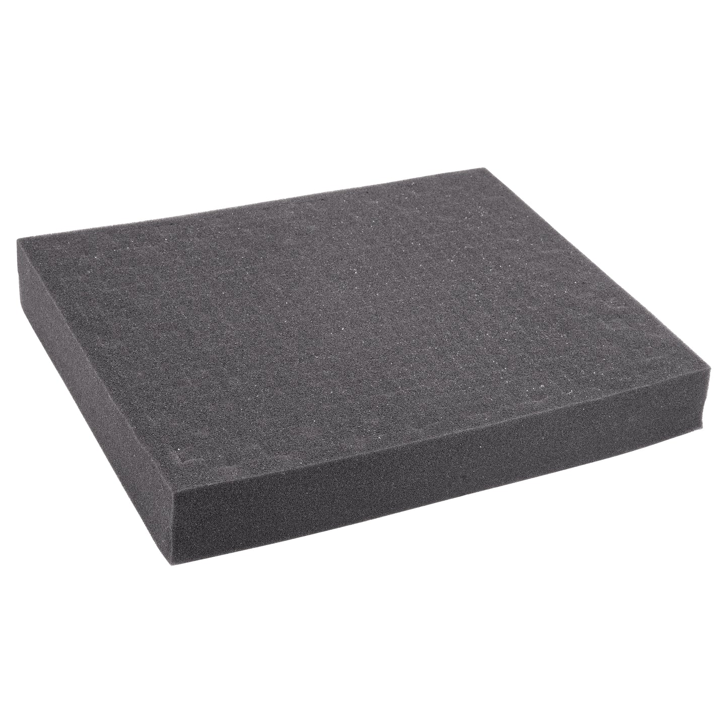 Replacement Foam for REED R8890