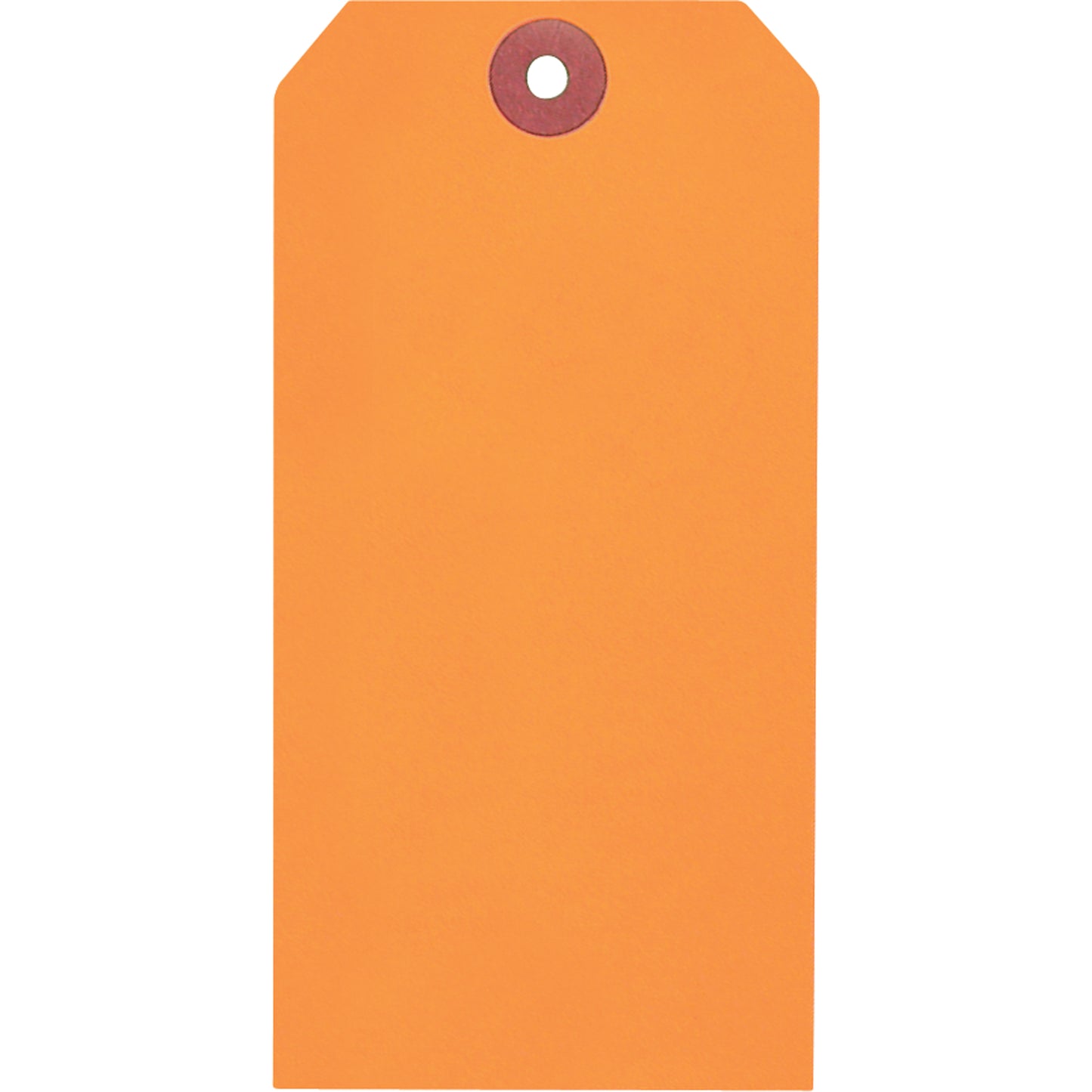Coloured Blank Tags, Paper, 2-3/8" W x 4-3/4" H