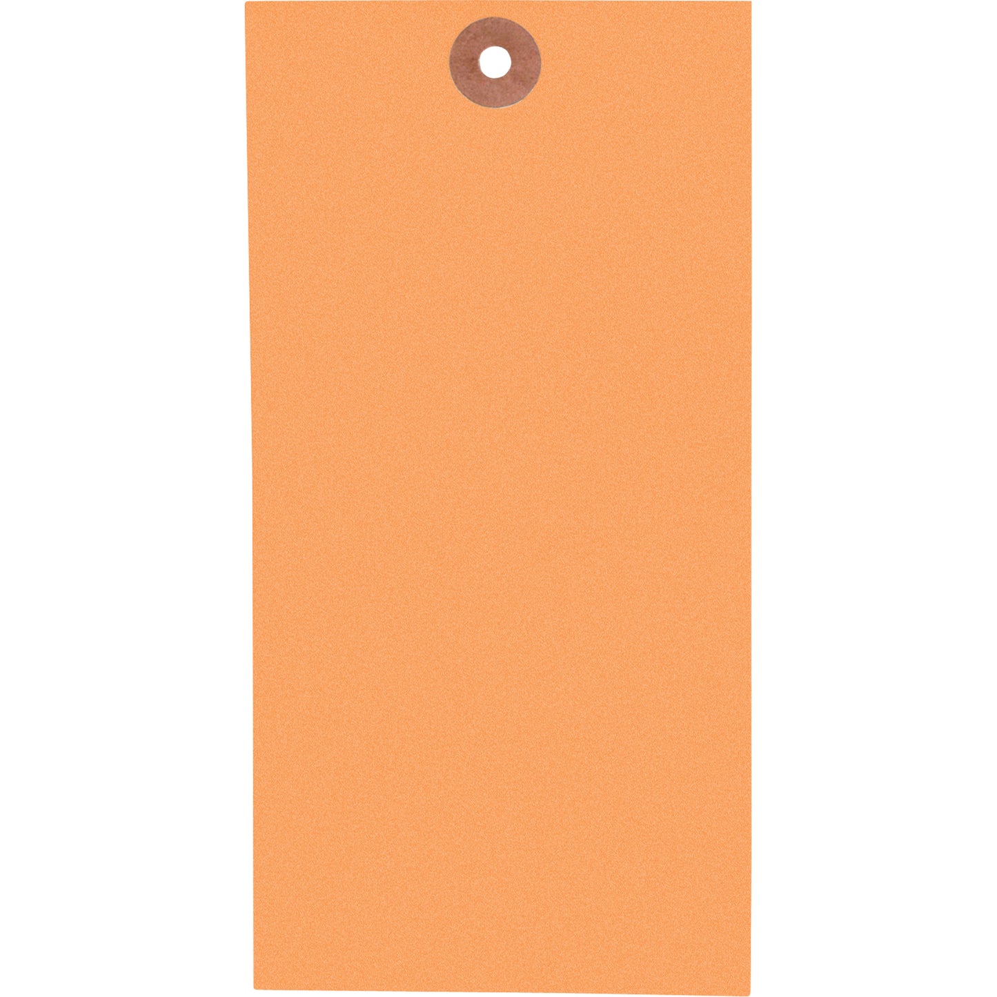 Coloured Blank Tags, Tyvek, 3-1/8" W x 6-1/4" H