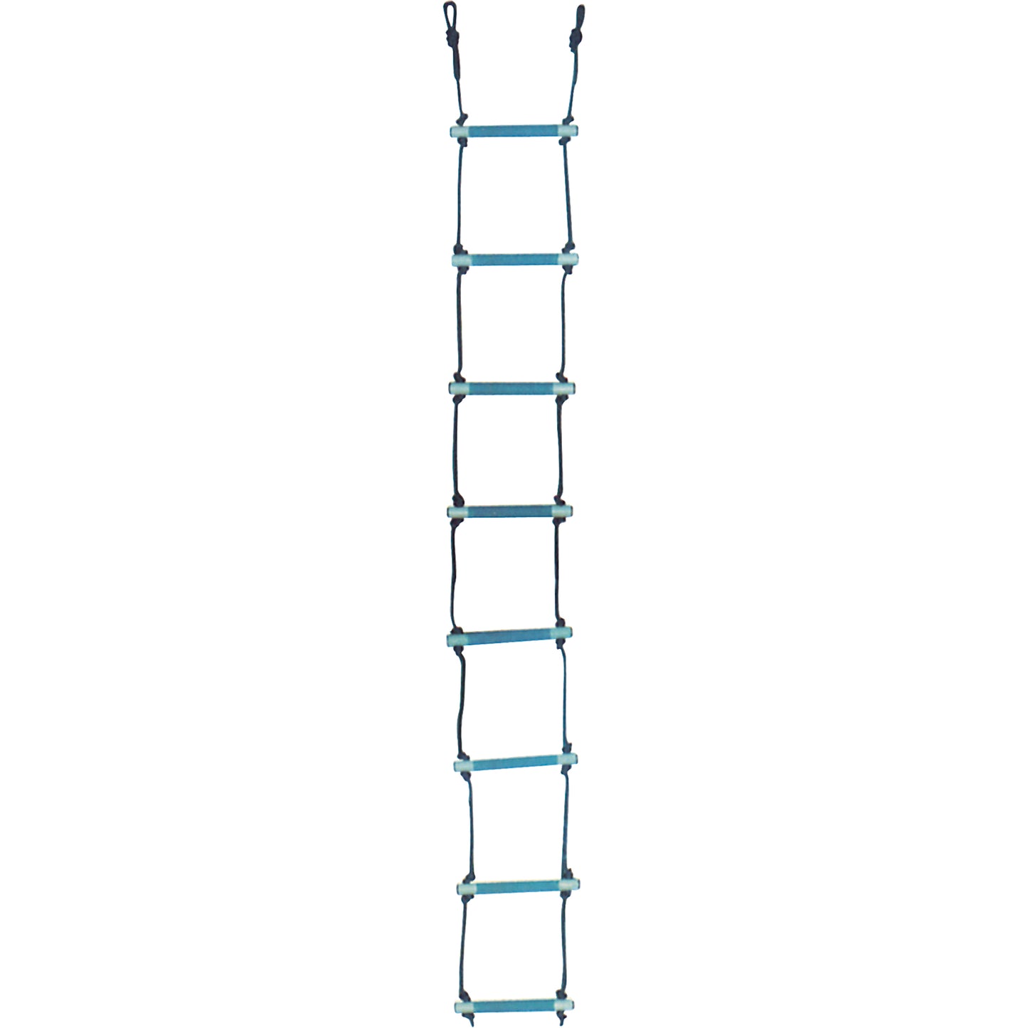 MSA Rescue Ladder