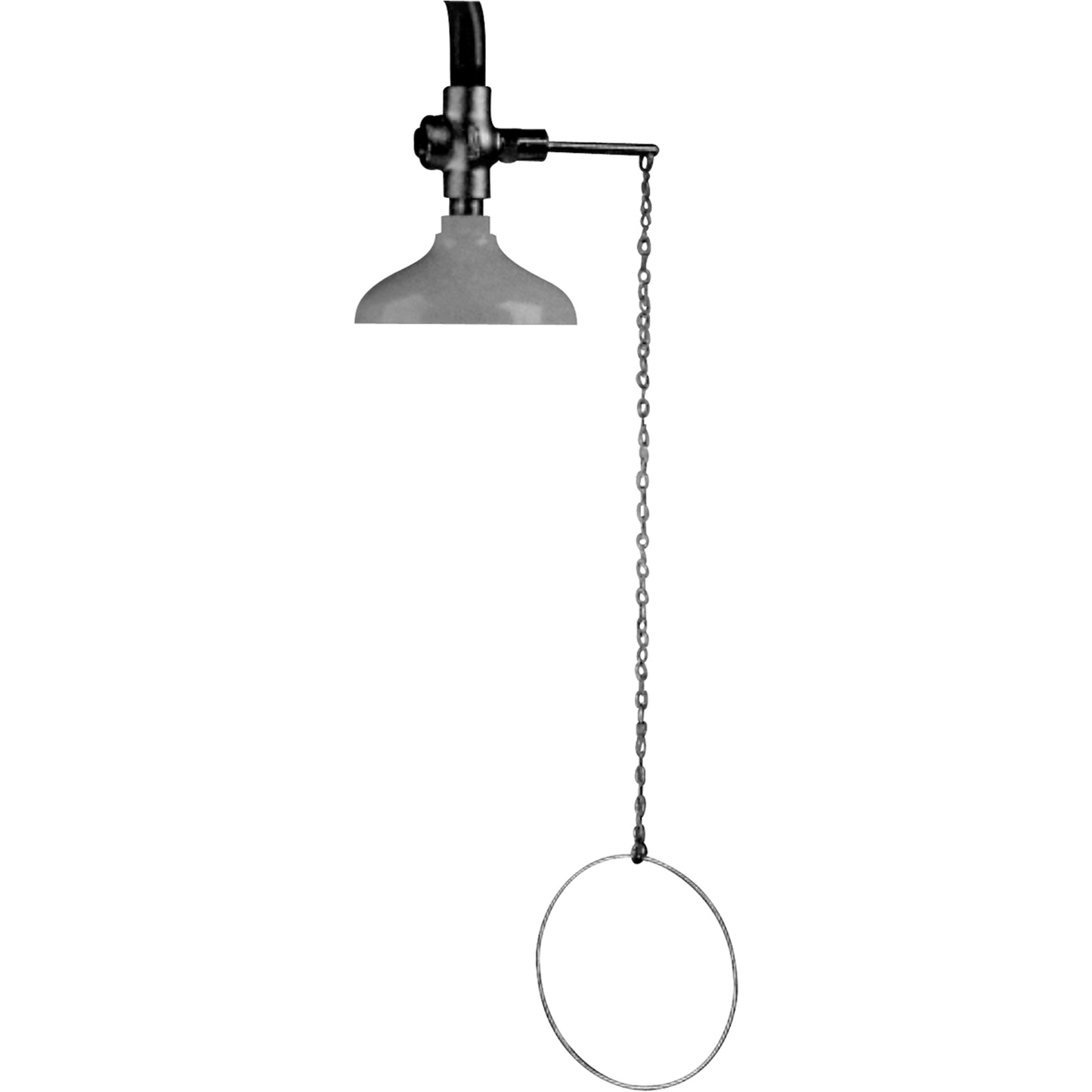 Speakman Lifesaver® Emergency Overhead Showers, Ceiling-Mount