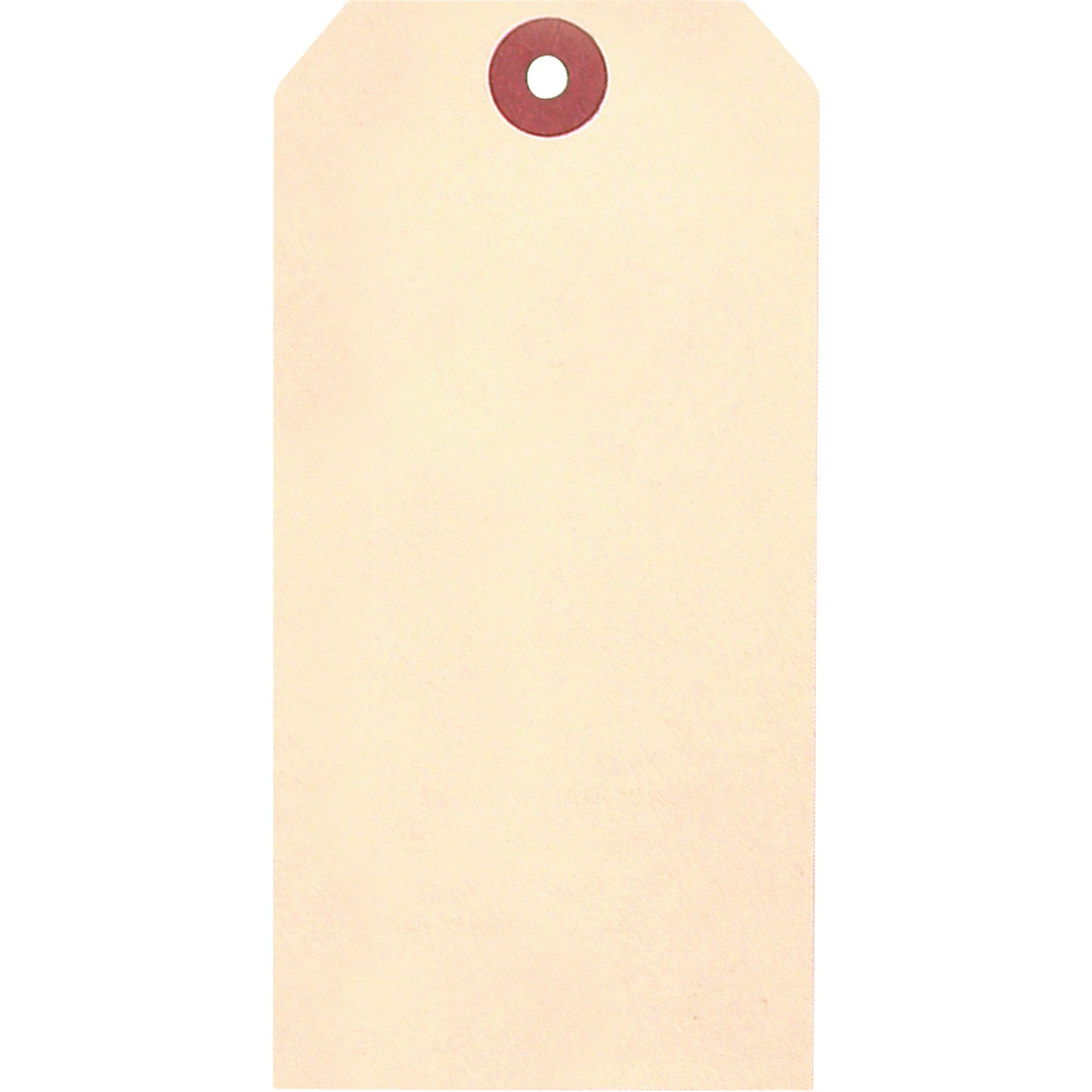 Accuform Signs Manila Blank Tags, Cardstock, 2-3/8" W x 4-3/4" H