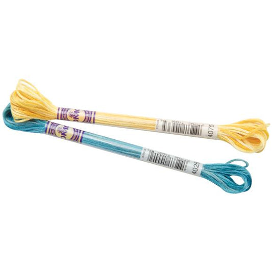 DMC Color Variations 6-Strand Embroidery Floss 8.7yd