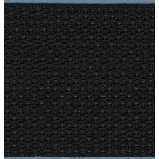 Simplicity Webbing 2"X10yd