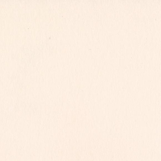 Bazzill Card Shoppe Heavyweight Cardstock 12"X12"