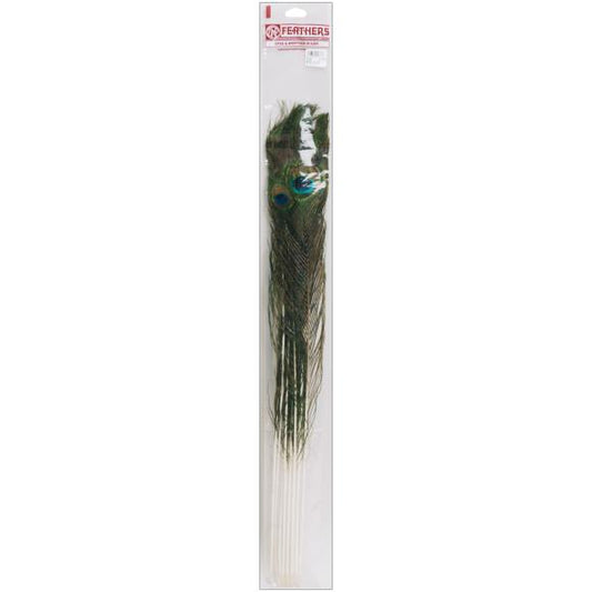 Zucker Peacock Eye Feathers 12/Pkg