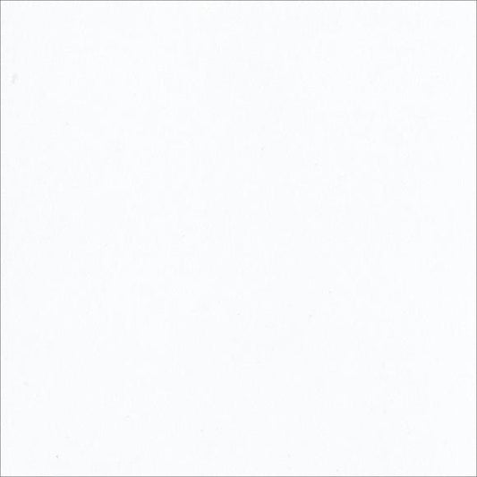 Bazzill Double Thick Smooth Cardstock 12"X12"