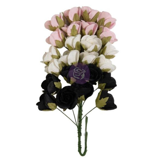 Prima Marketing Paper Flowers 24/Pkg By Frank Garcia