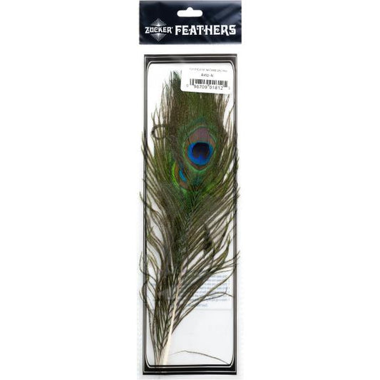Zucker Peacock Eye Feathers 2/Pkg