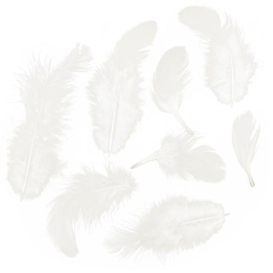 Zucker Rooster Plumage Feathers .04oz