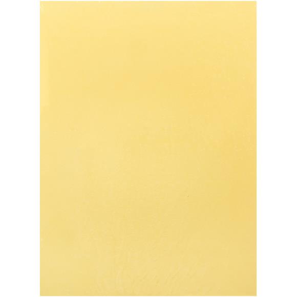 Bazzill Cardstock 8.5"X11"