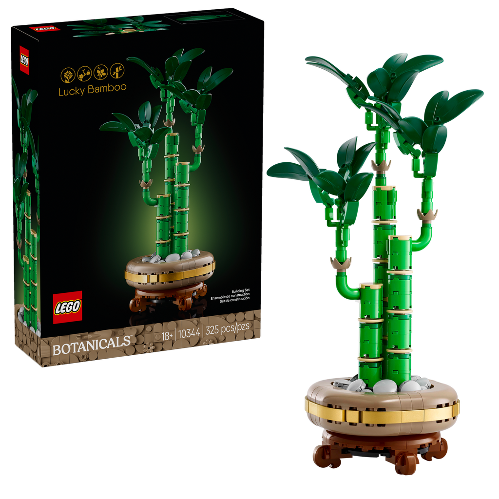 10344 Lucky Bamboo (Case of 3)