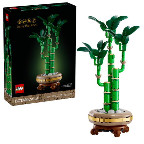 10344 Lucky Bamboo (Case of 3)