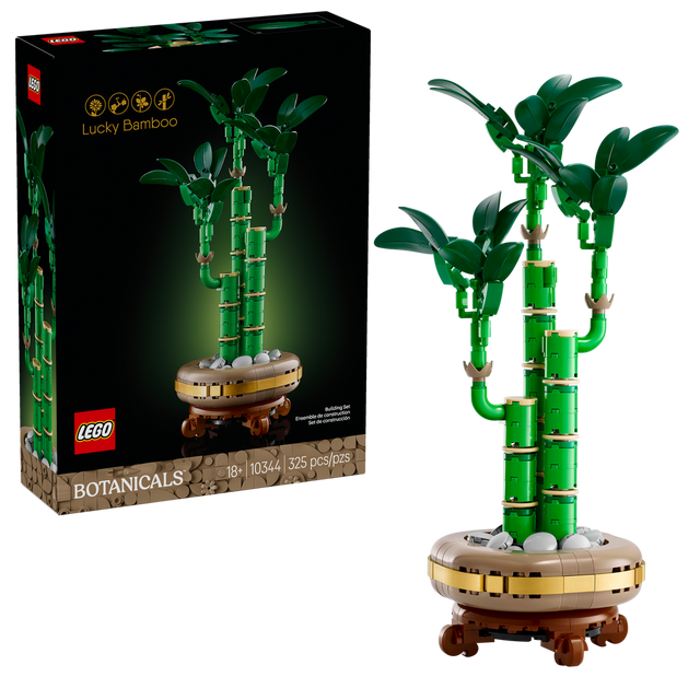 10344 Lucky Bamboo (Case of 3)