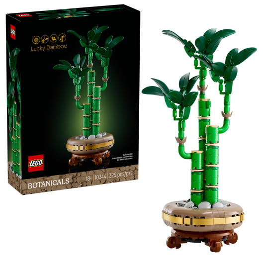 10344 Lucky Bamboo (Case of 3)