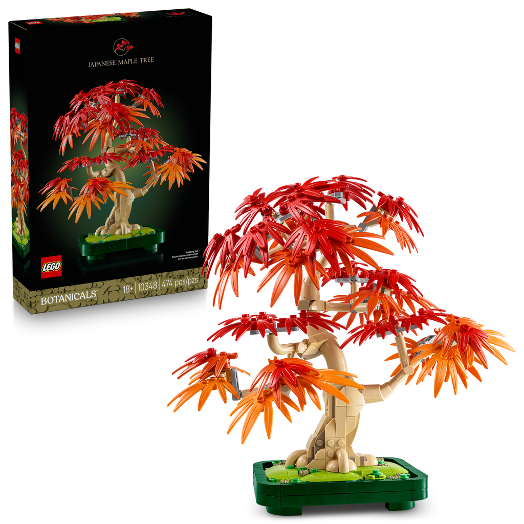10348 Japanese Red Maple Bonsai Tree (Case of 3)