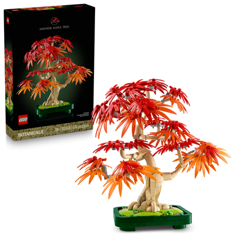 10348 Japanese Red Maple Bonsai Tree (Case of 3)