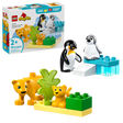 10442 Wild Animal Families: Penguins & Lions (Case of 4)