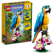 31136 Exotic Parrot (Case of 3)