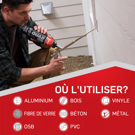 LePage Quad Foam Window and Door Installation Foam, Pale Yellow, 600 ml Can, Pack of 1 LePage®