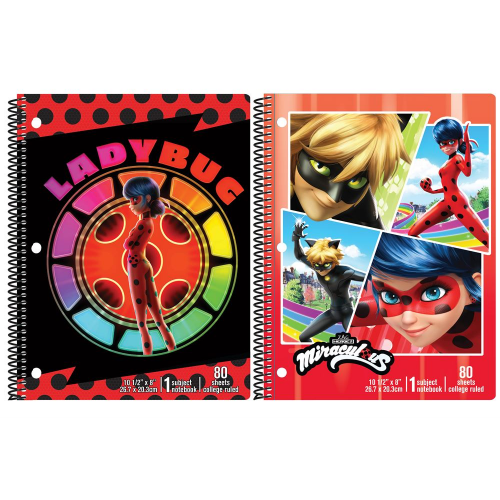 MIRACULOUS - THEME BOOKS (Case of 12)