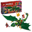 71829 Lloyd's Green Forest Dragon (Case of 5)