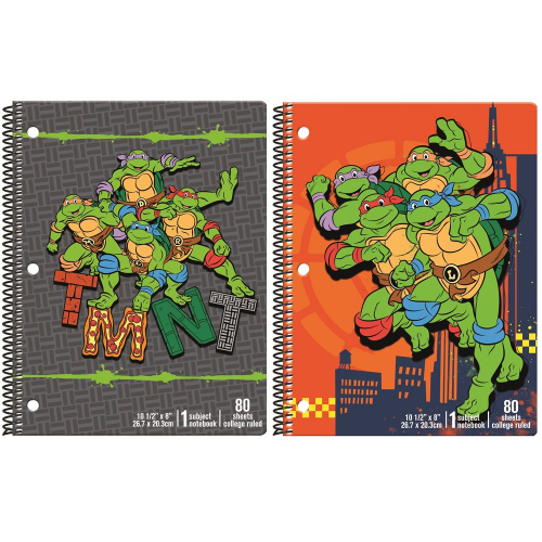 TMNT - THEME BOOKS (Case of 12)