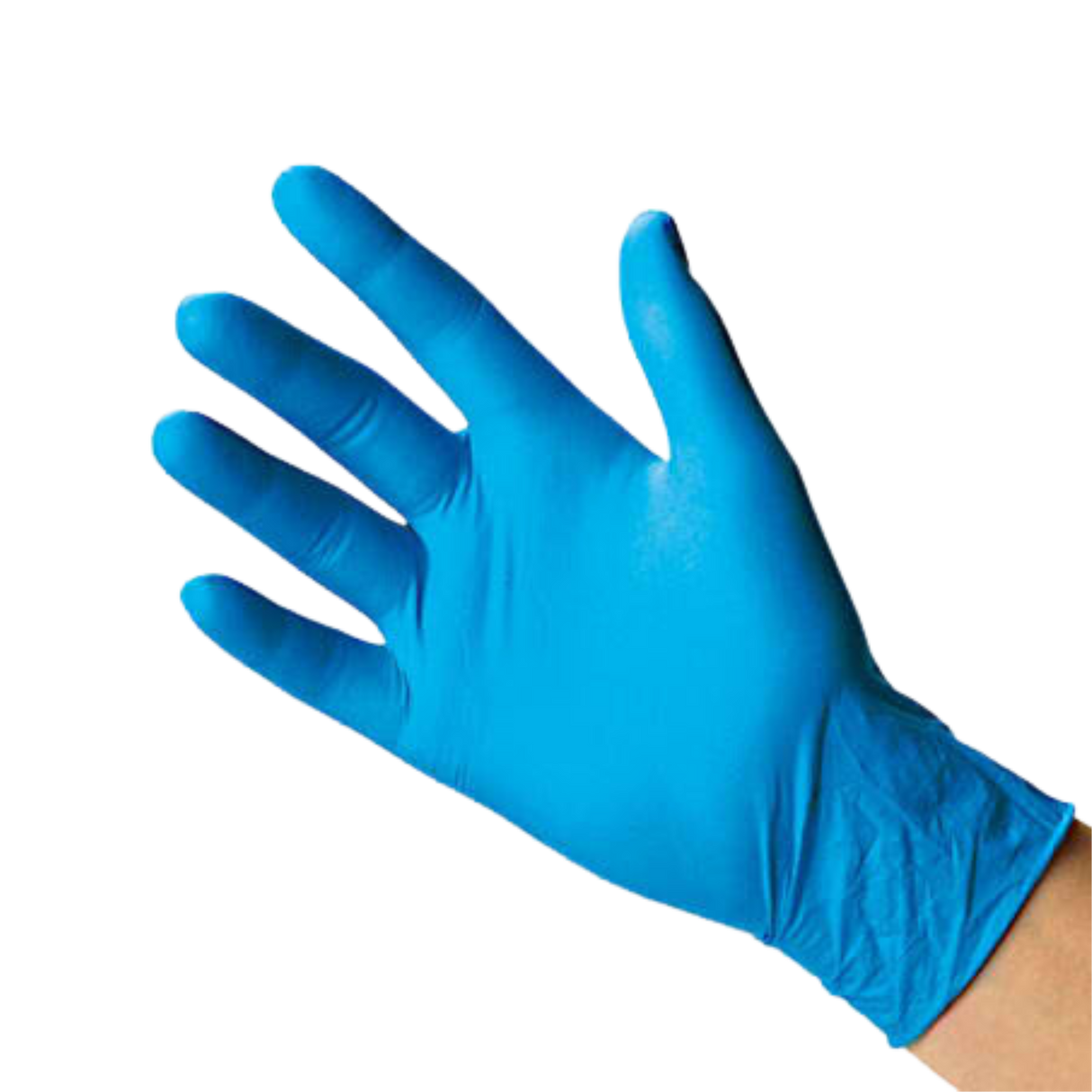 Large Blue Nitrile Gloves - 100/box, 10box/cs