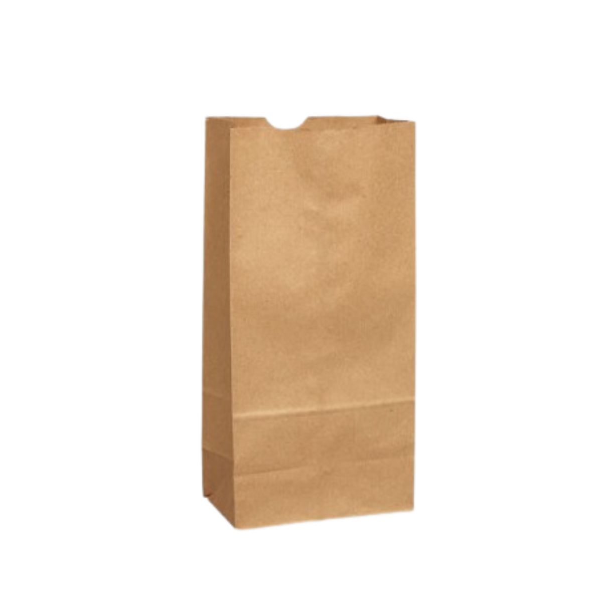 5 lbs Brown Paper Bags - 500pcs