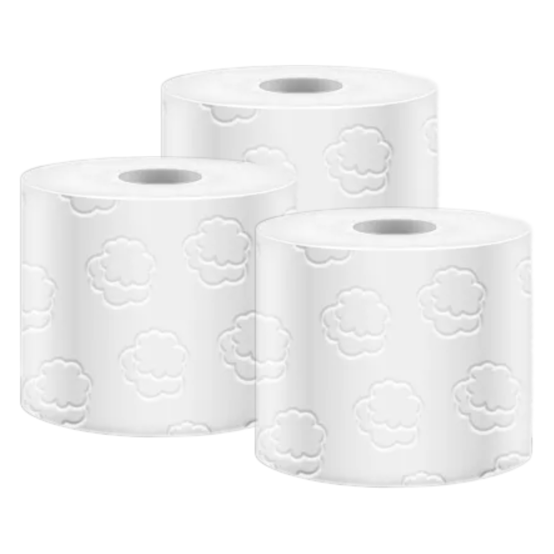 2ply Bathroom Tissue (6 rolls= 24 rolls) - 6/case