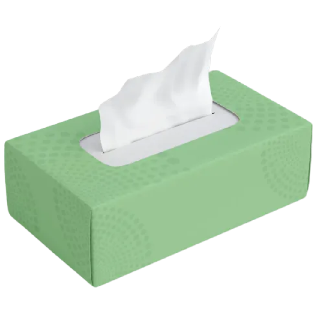 210 sheets Gogo Facial Tissue - 24/case