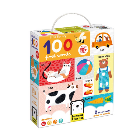 LITTLE LIBRARY - FIRST 100 WORDS (12m+) (Case of 10)