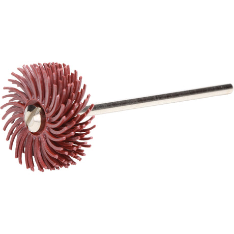 Scotch-Brite™ Radial Bristle Discs, P220X Grit, 3/4" Dia.