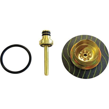 Filter/Regulator - Relieving Diaphragm & Valve Assembly