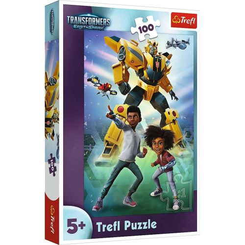 PUZZLE - THE TRANSFORMERS TEAM - 100pc (Case of 12)