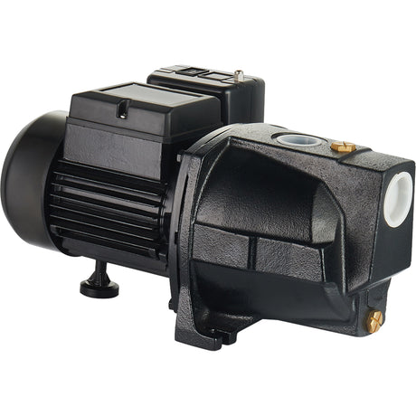 Dual Voltage Cast Iron Shallow Well Jet Pump, 115 V/230 V, 1100 GPH, 1 HP