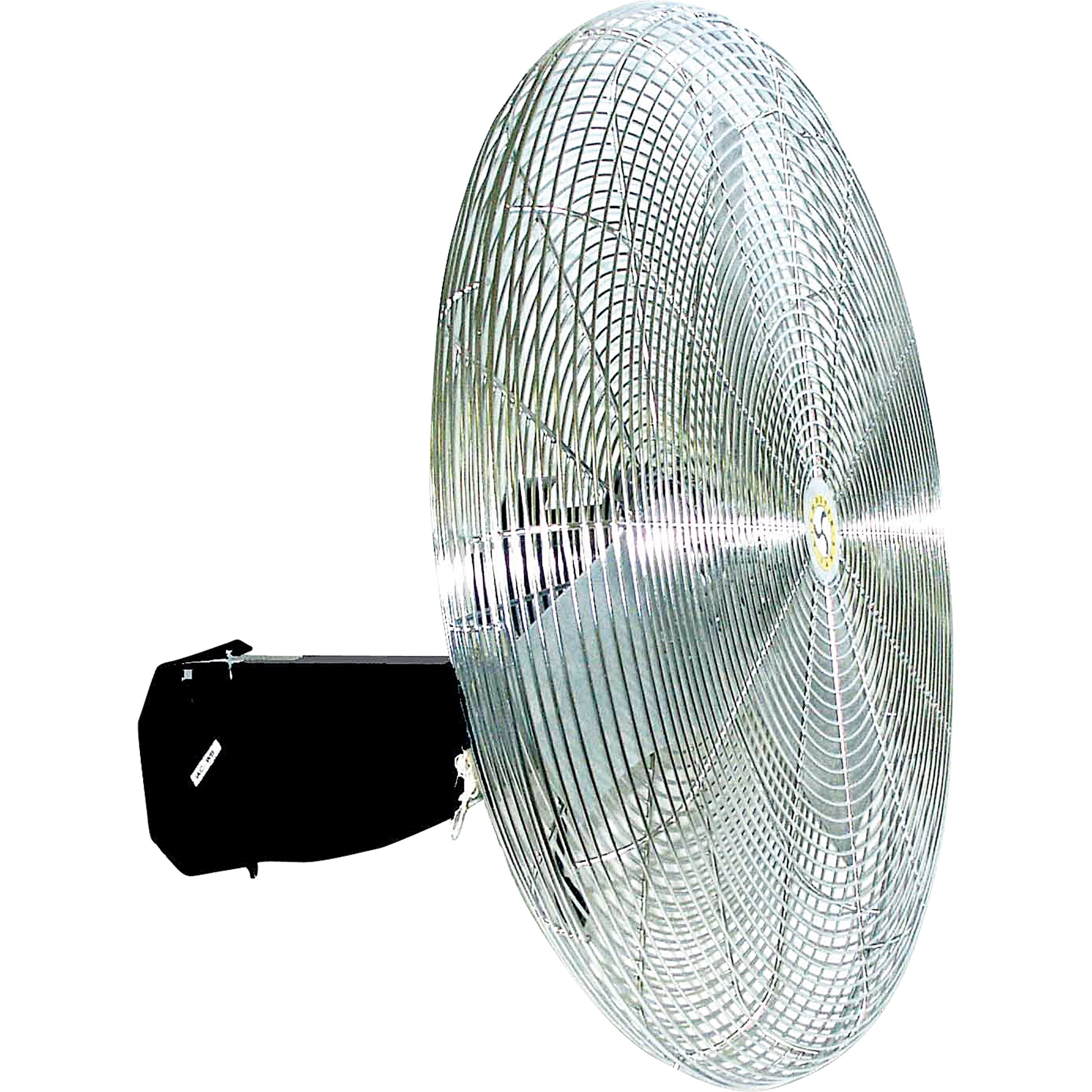 Oscillating Wall fan, Industrial, 30" Dia., 3 Speeds