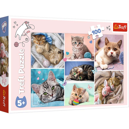 PUZZLE - IN THE CAT WORLD - 100pcs (Case of 12)