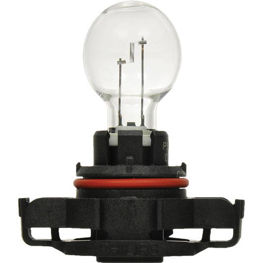 5201 Basic Fog Light Bulb, Halogen, 19 W, Off White