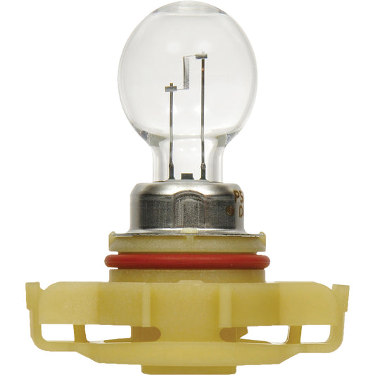 5202 Basic Fog Light Bulb, Halogen, 24 W, Off White