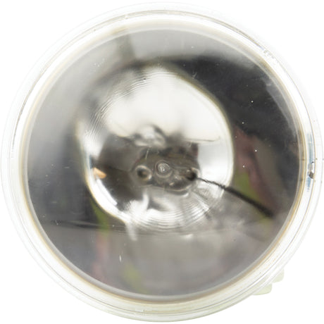 H7635 Basic Sealed Beam Headlight, Incandescent, 50 W, Off White